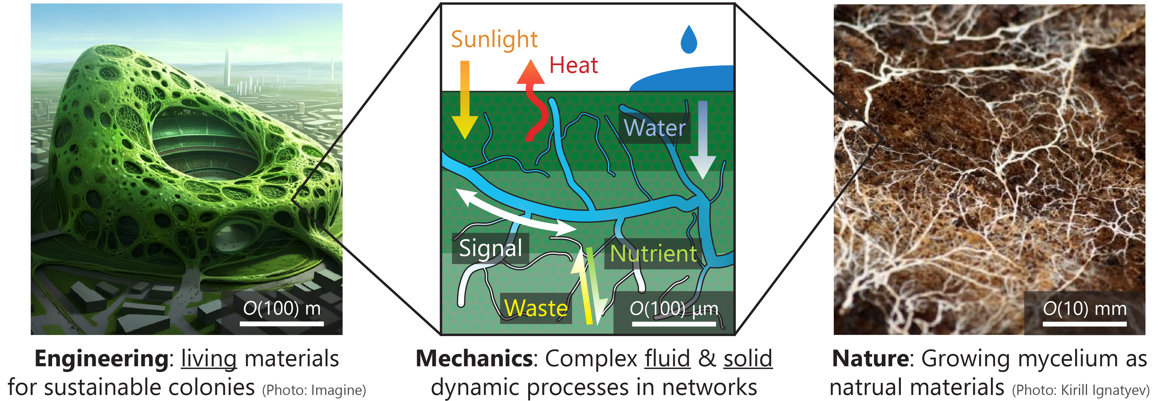 Image representing Living Systems research