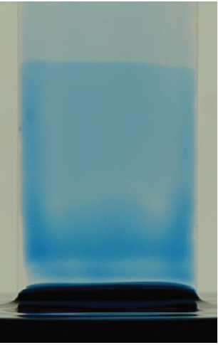 Marangoni-driven Film Climbing